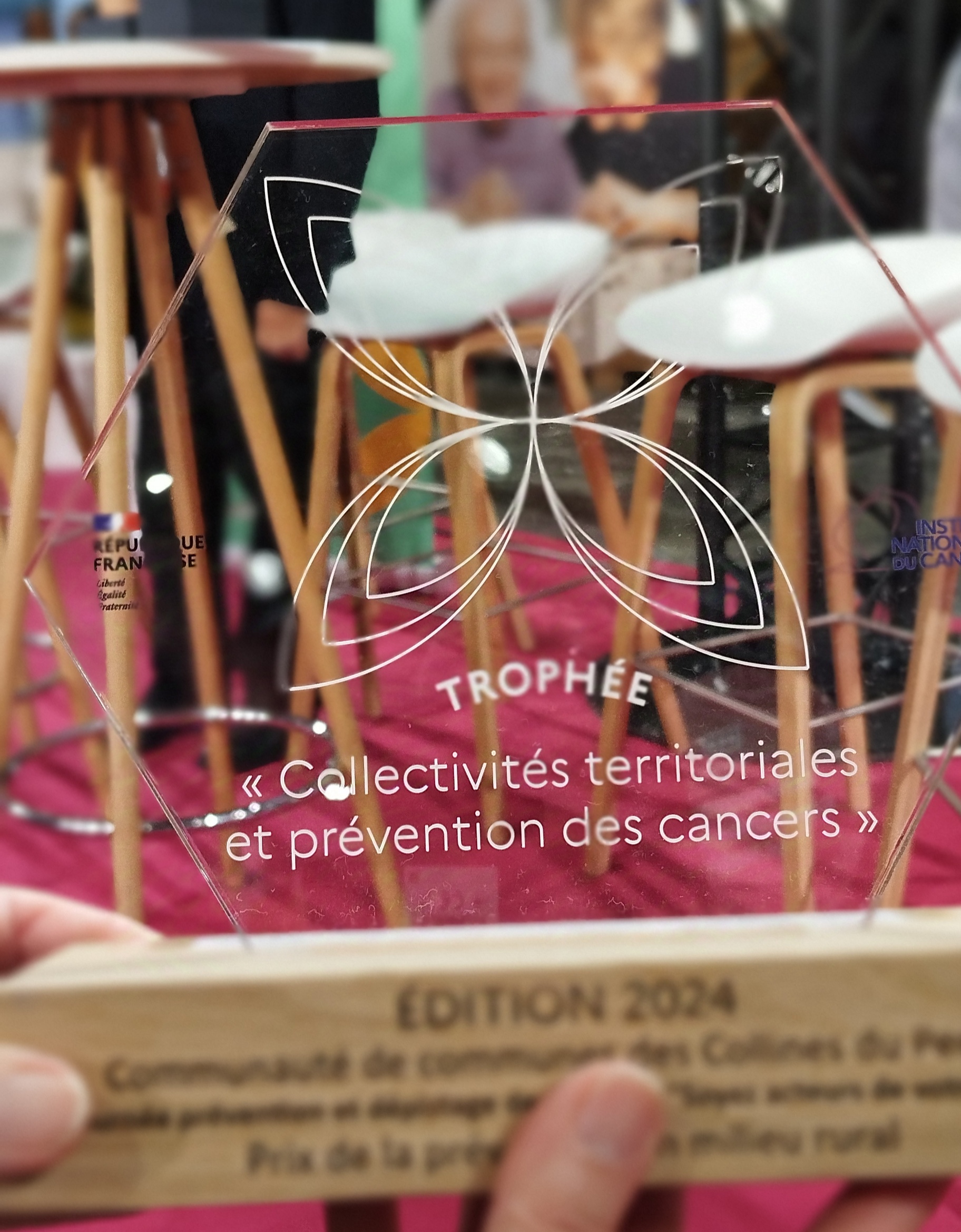 L’action « Soyez acteur de votre santé » portée par la Communauté de communes des collines du Perche et organisée par la MSA et le CRCDC-CVL a eu l’honneur de recevoir le Prix de la prévention en milieu rural lors du 1er Trophée « Collectivités et prévention des cancers », organisé par l’Institut National du Cancer.🏆